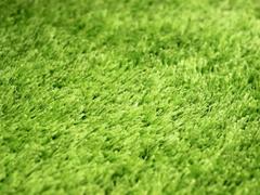 A clean green carpet that has "eco-friendly" written all over it.